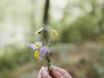 朝ドラ「らんまん」衣装：鹿鳴館時代の「バッスル・スタイル」とは？日本の洋装化を探る